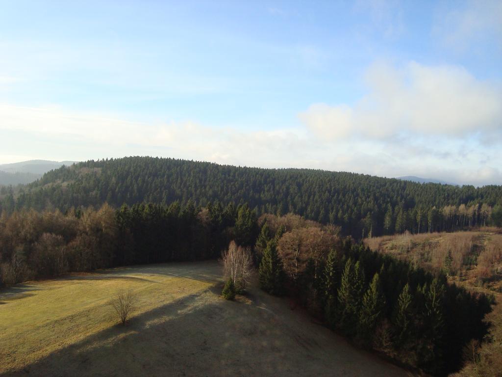 Panoramic Oberharz Ferienapartments Hohegeiß Exterior foto