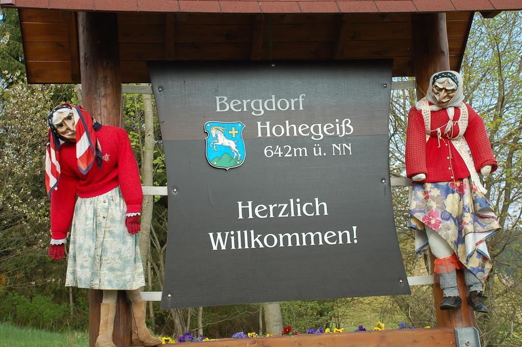 Panoramic Oberharz Ferienapartments Hohegeiß Exterior foto