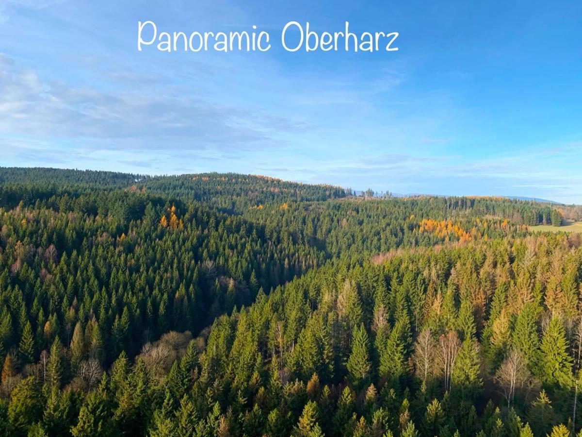 Panoramic Oberharz Ferienapartments Hohegeiß Exterior foto