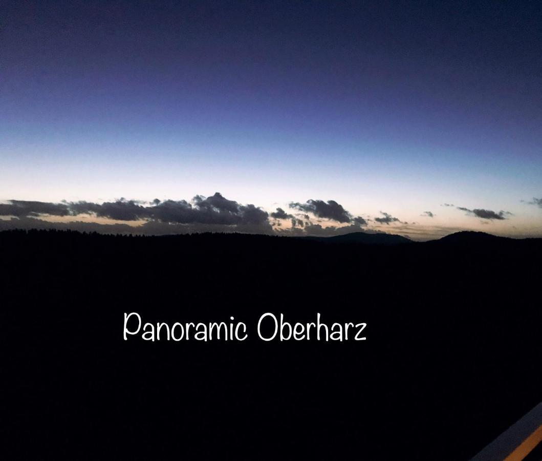 Panoramic Oberharz Ferienapartments Hohegeiß Exterior foto