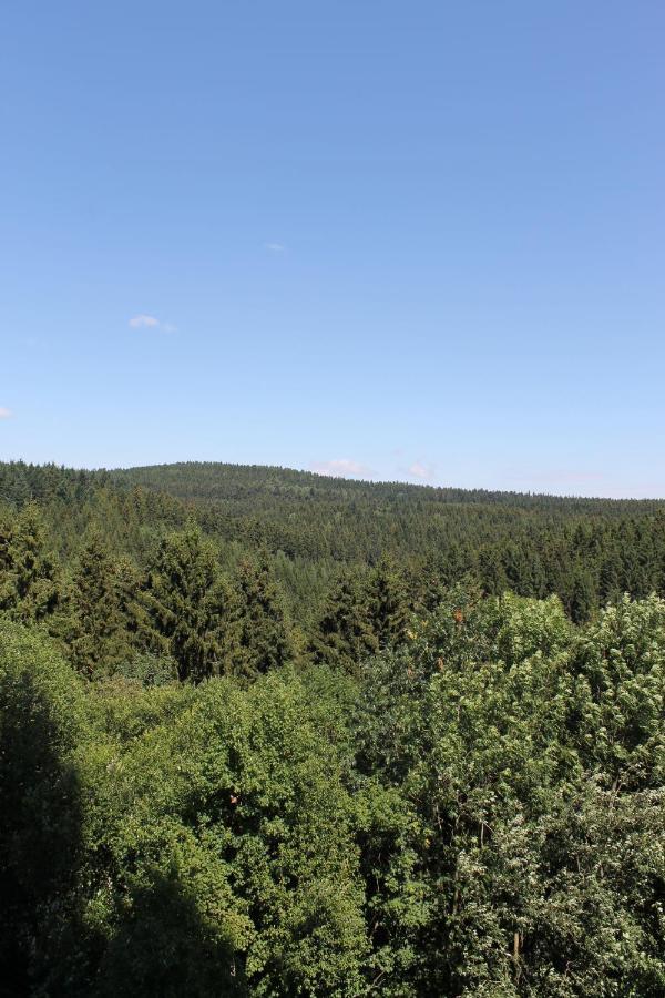 Panoramic Oberharz Ferienapartments Hohegeiß Exterior foto